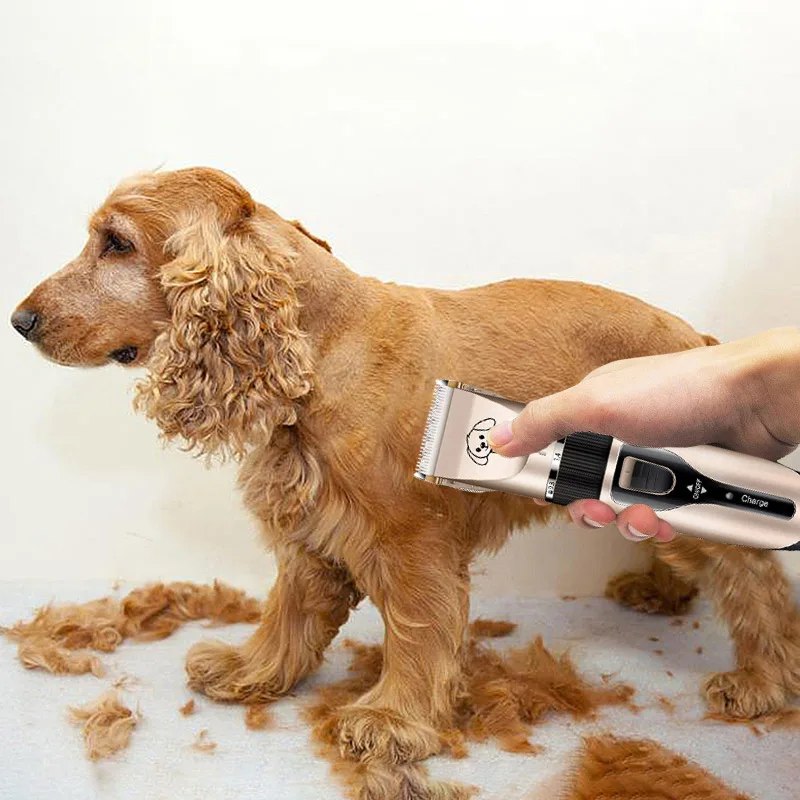Maquina para Cortar pelo de Perro